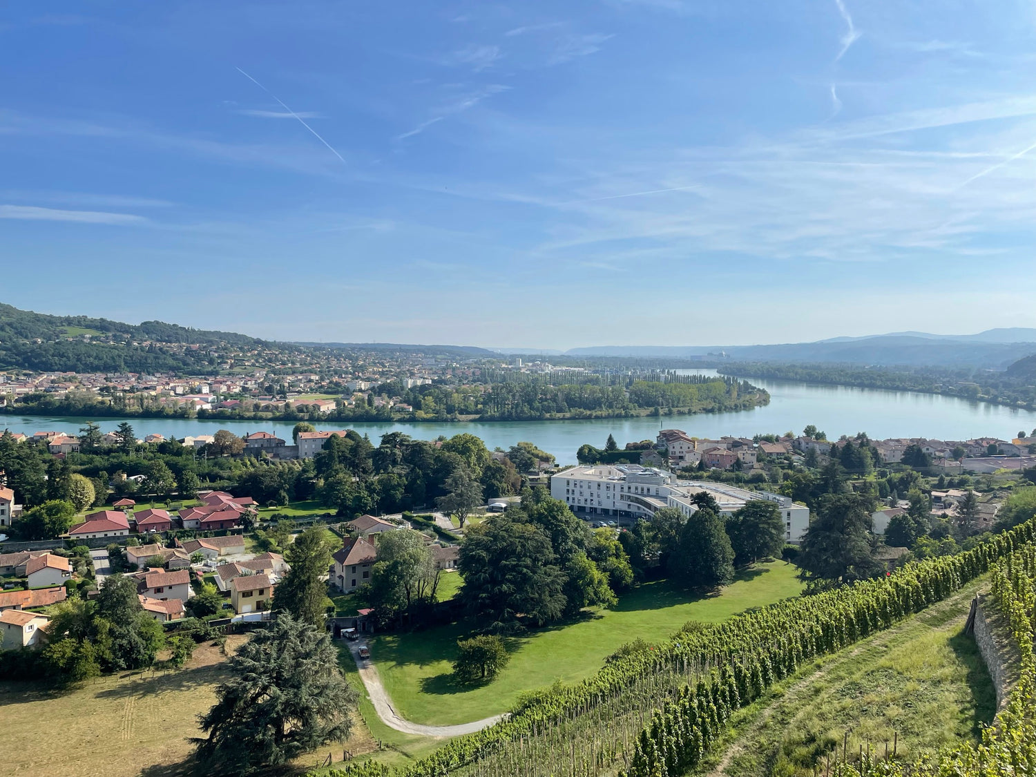 A Journey Through Time: The Rich History of Rhone Wines