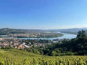 rhone-condrieu