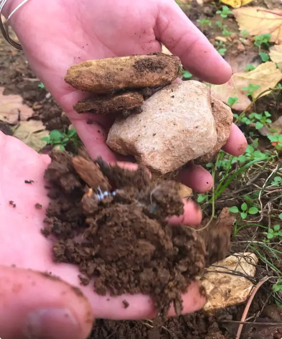 soil